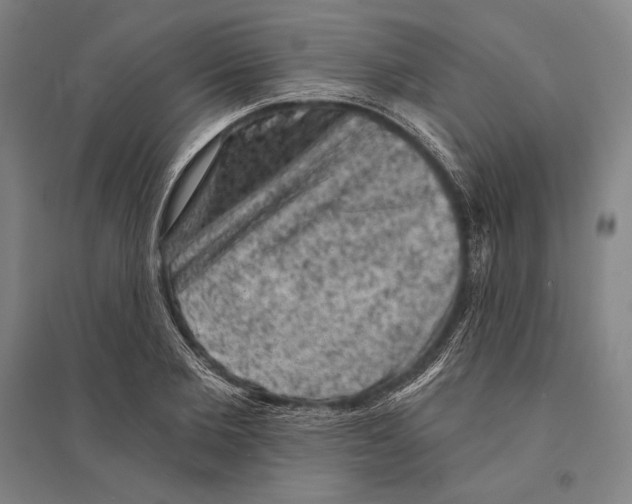 X0000095510885200801111411