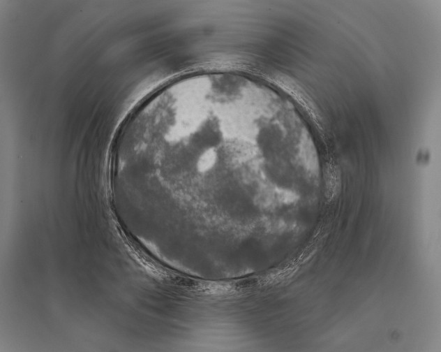 X0000095510886200801111411