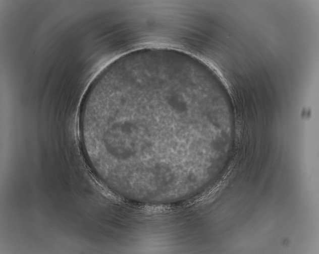 X0000095510887200801111411