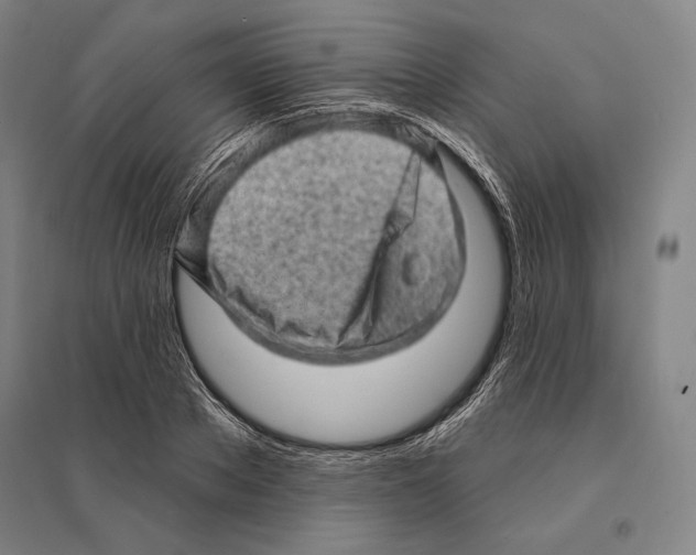 X0000095510889200801111411