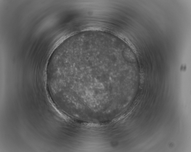 X0000095510890200801111410