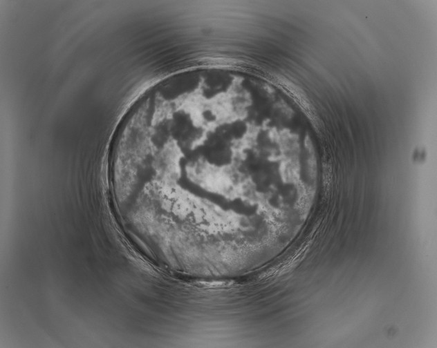 X0000095510891200801111410