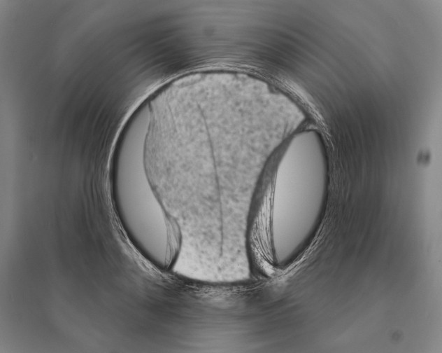 X0000095510892200801111410