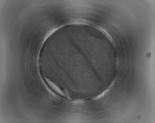 X0000095510893200801111410