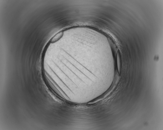X0000095510894200801111410