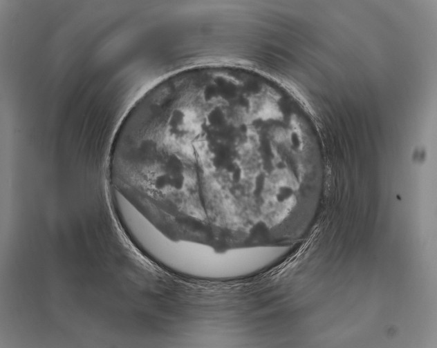 X0000095510895200801111410