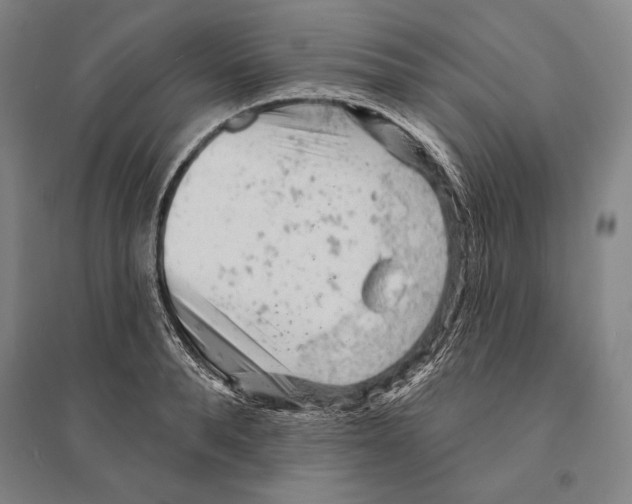 X0000095510896200801111410