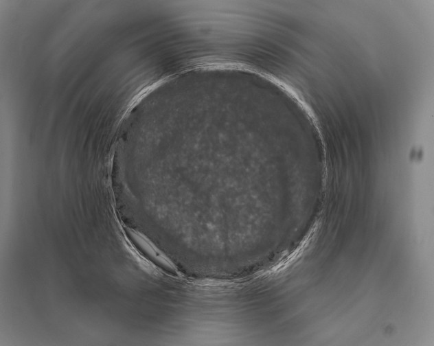 X0000095510897200801111410