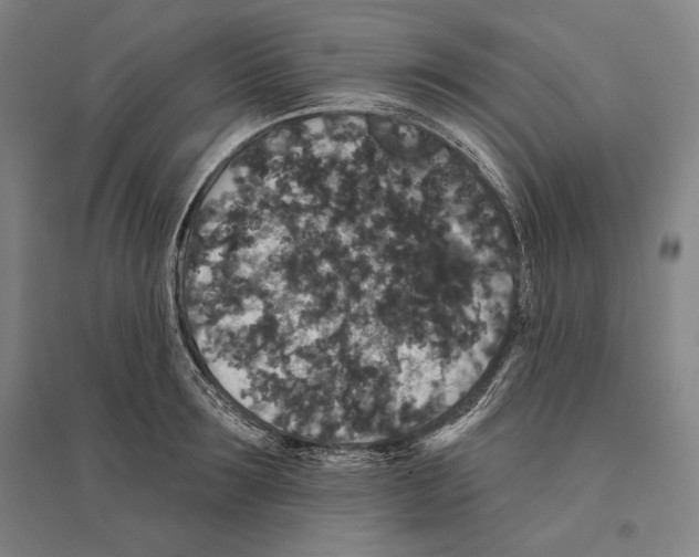 X0000095510899200801111410