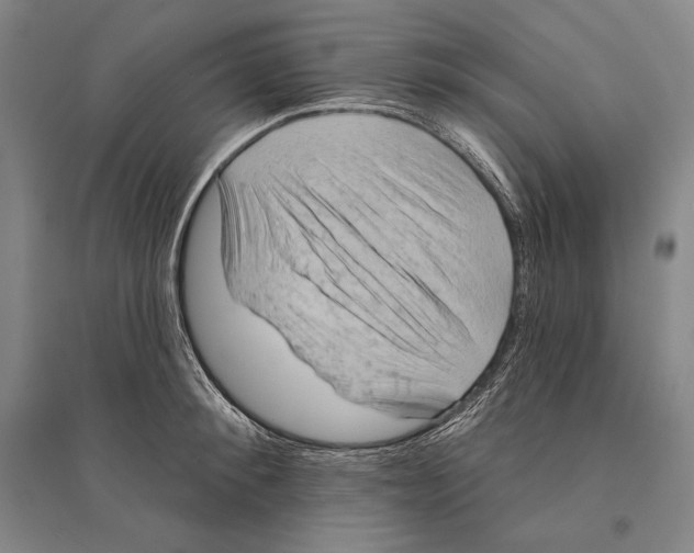 X0000095510900200801111410
