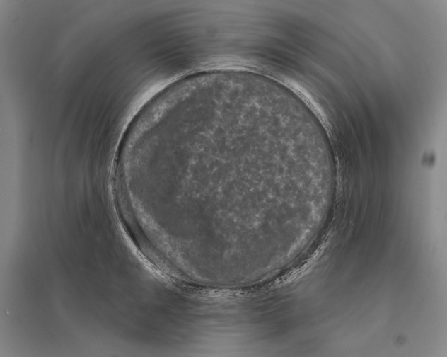 X0000095510901200801111410