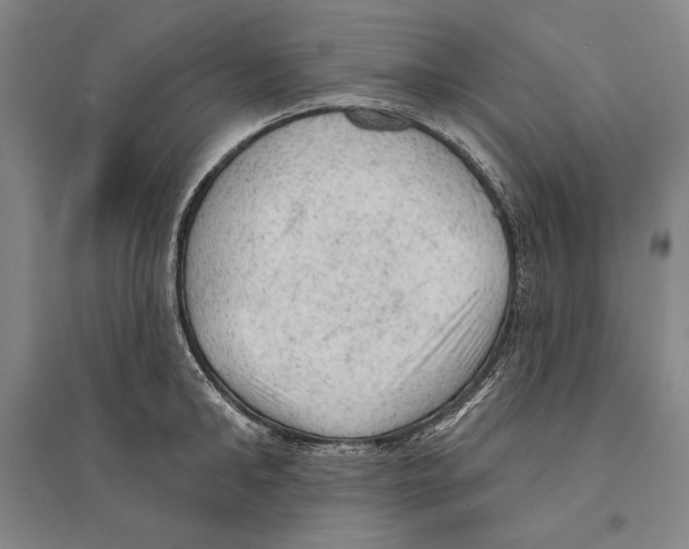 X0000095510902200801111410