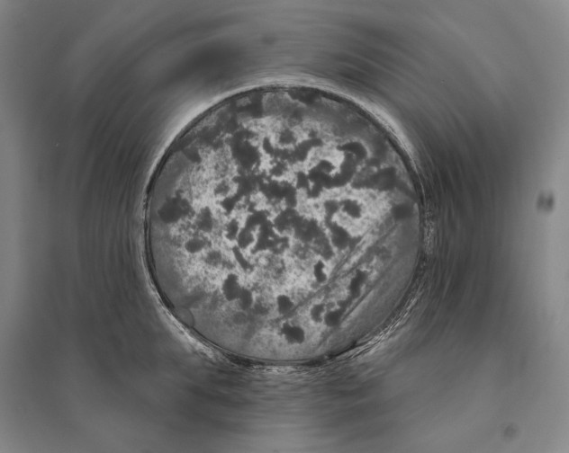 X0000095510903200801111410