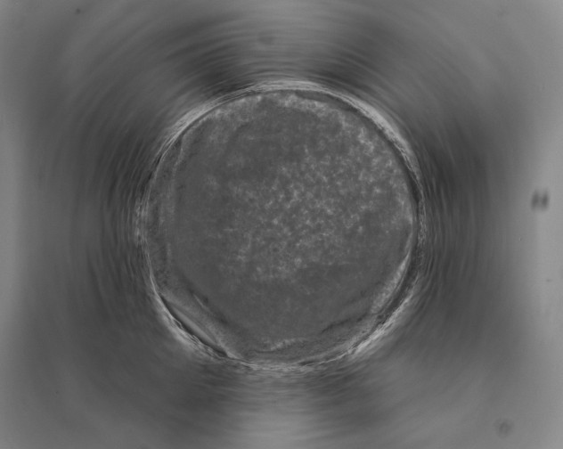 X0000095510905200801111410