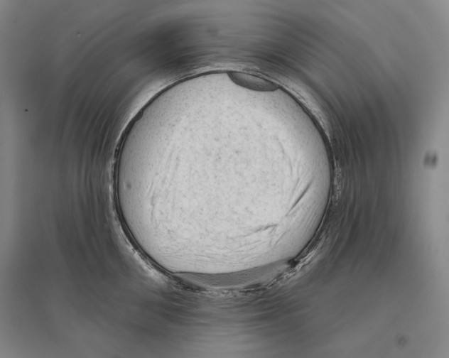 X0000095510906200801111410