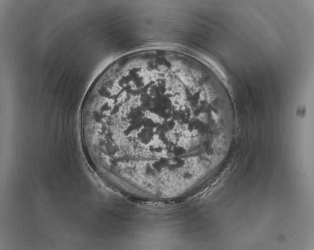 X0000095510907200801111410