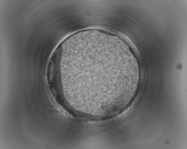 X0000095510908200801111410