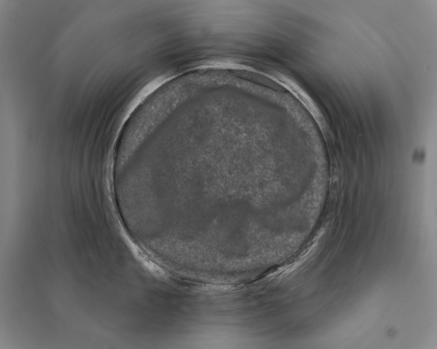 X0000095510909200801111410