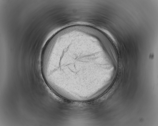 X0000095510910200801111410