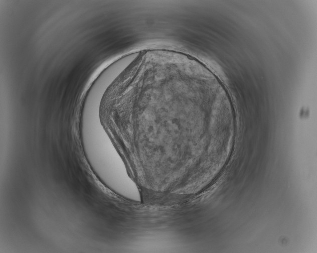 X0000095510912200801111410
