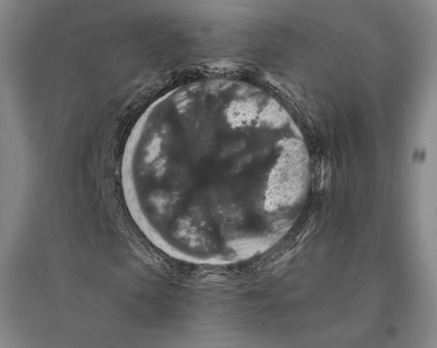 X0000095510913200801111410