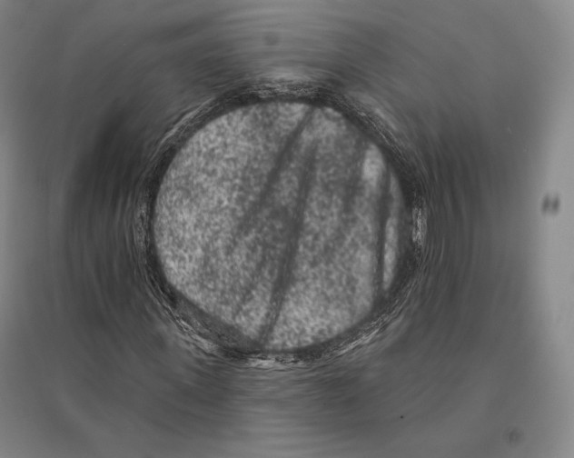 X0000095510915200801111410