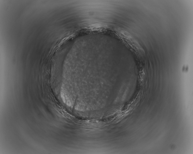 X0000095510916200801111410