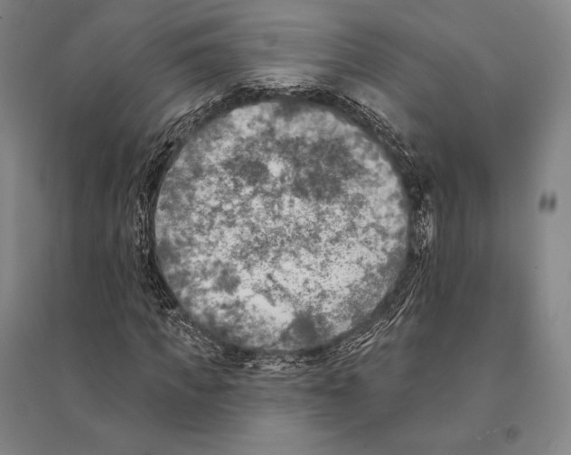 X0000095510917200801111410