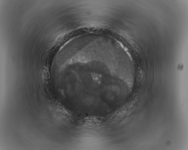 X0000095510918200801111410
