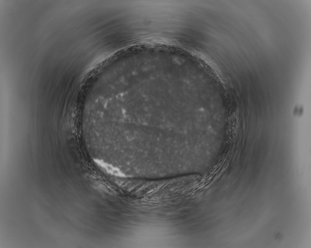 X0000095510919200801111410