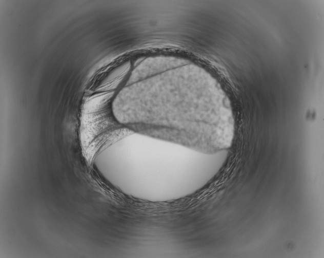 X0000095510920200801111410