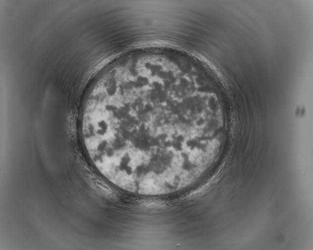 X0000095510921200801111410