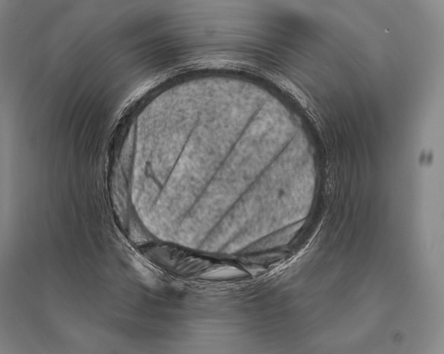 X0000095510922200801111410