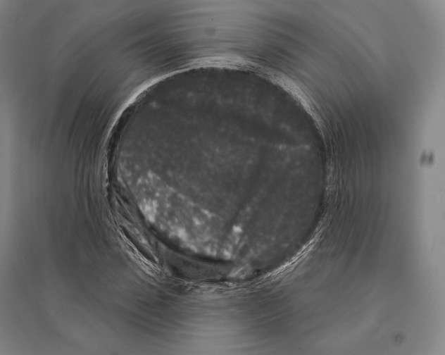 X0000095510923200801111410