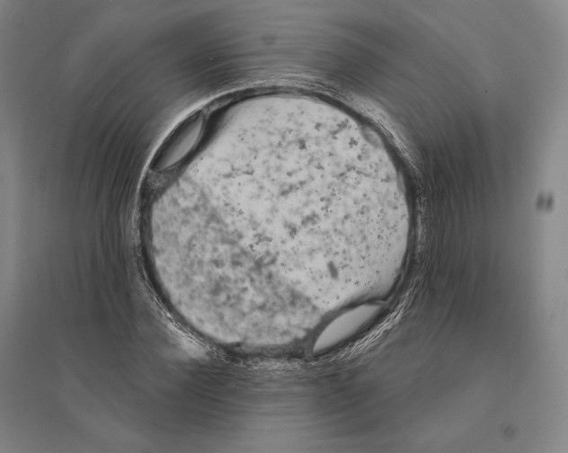 X0000095510924200801111410