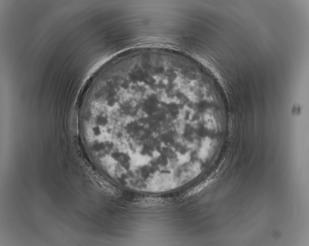 X0000095510925200801111410