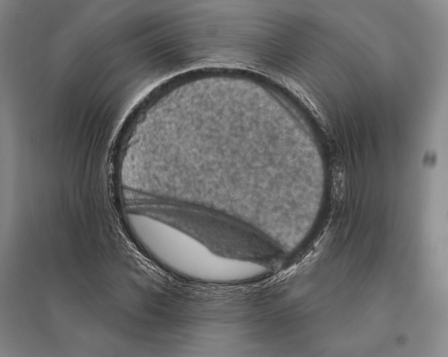X0000095510926200801111410