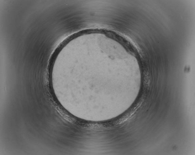 X0000095510927200801111410