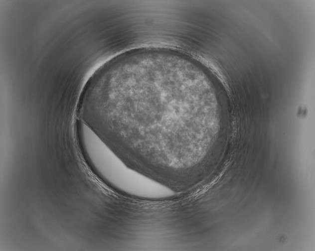 X0000095510928200801111410