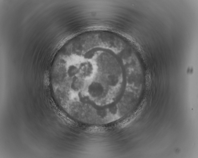 X0000095510929200801111410