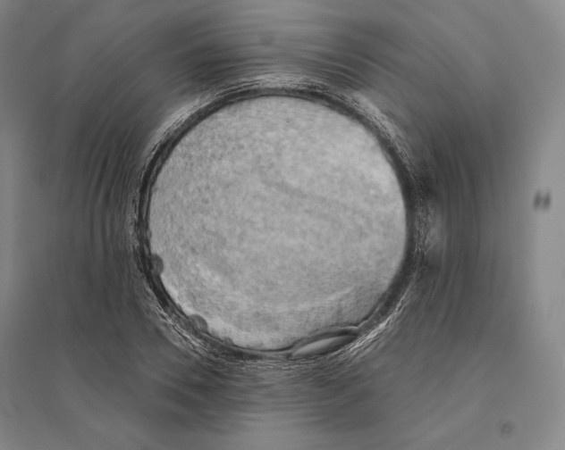 X0000095510930200801111410