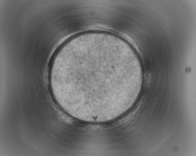 X0000095510931200801111410