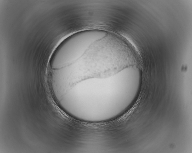 X0000095510932200801111410