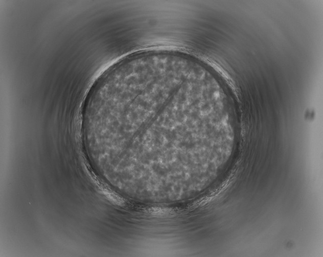 X0000095510933200801111410