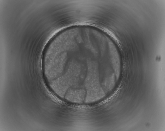 X0000095510934200801111410