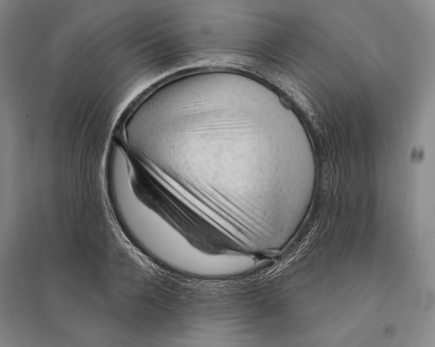X0000095510936200801111410