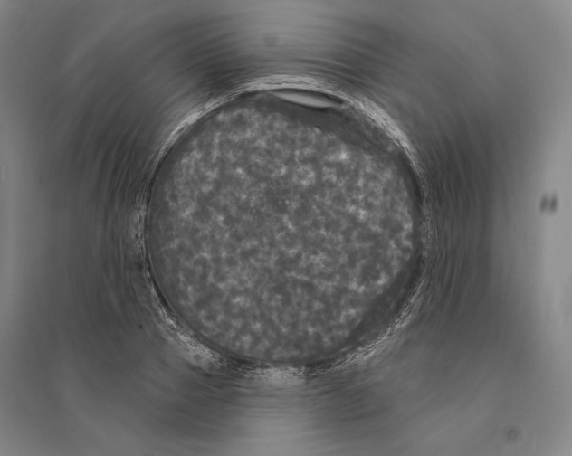 X0000095510937200801111410