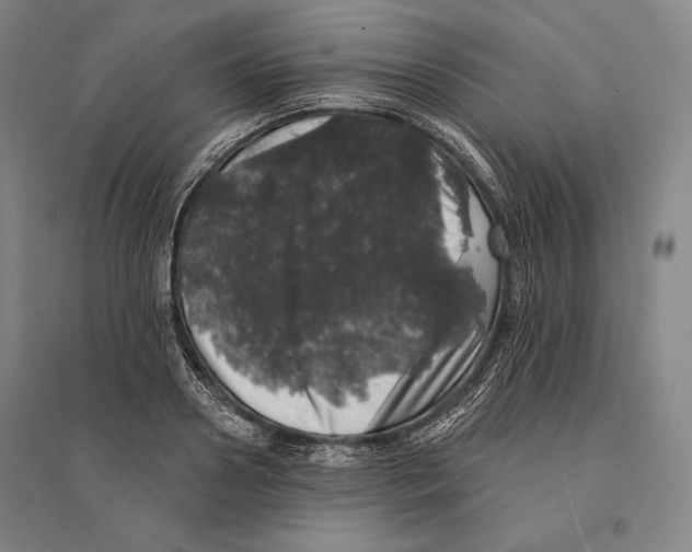 X0000095510938200801111410