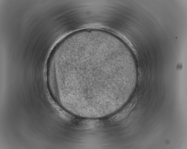 X0000095510939200801111410