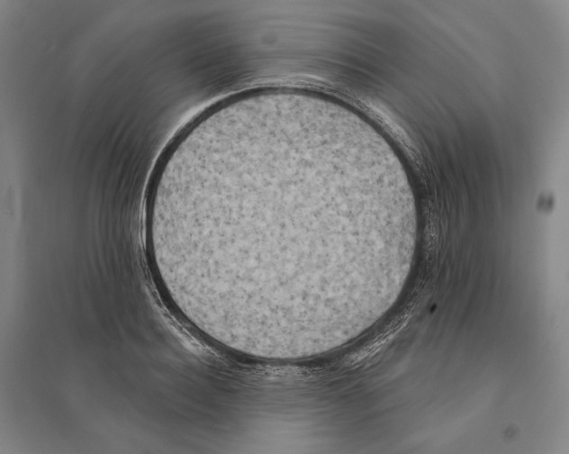 X0000095510940200801111410